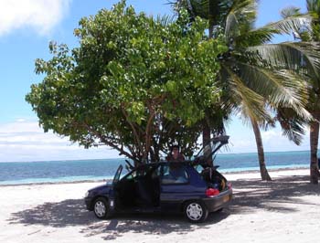 Image003