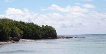 PICT0004