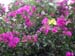 Image001